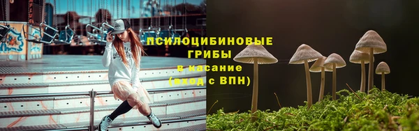 таблы Аркадак