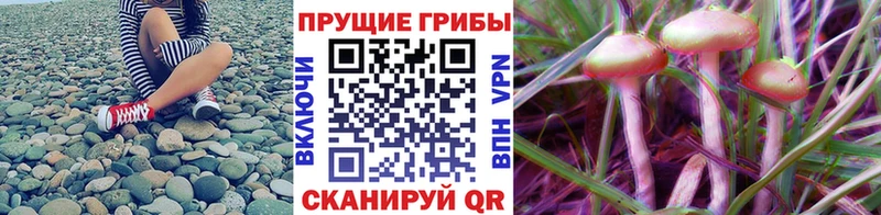 наркошоп  гидра как зайти  Галлюциногенные грибы мицелий  Нефтекамск 